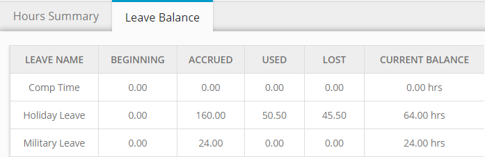 Leave Balance